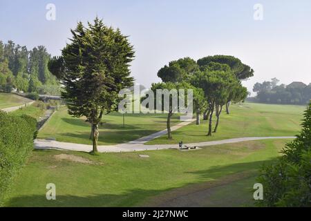 Rio Real terrain de golf zone verte avec conifères, Marbella Andalousie sud de l'Espagne. Banque D'Images