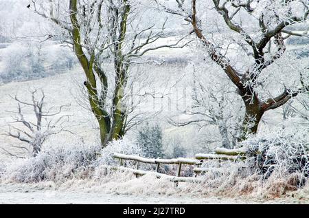 Bois de Cannock arbres givrés hedgerows et champs hiver Cannock Chase Country Park AONB (région d'une beauté naturelle exceptionnelle) Staffordshire Angleterre Royaume-Uni Banque D'Images