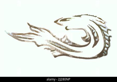 Symbole de poisson comme un requin sur un fond clair pour votre conception. Croquis de poissons torsadés pour les concepts d'affaires, les imprimés, les logos, la broderie, les textiles Banque D'Images