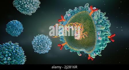 Cellule immunitaire de récepteur d'antigène chimérique génétiquement modifiée avec brin de gène d'arnm implanté - illustration 3D Banque D'Images