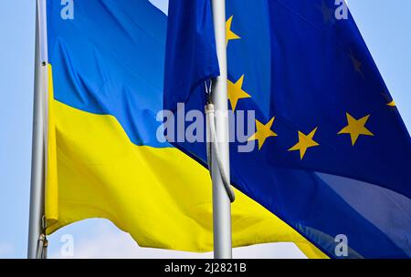 29 mars 2022, Brandebourg, Francfort (Oder) : les drapeaux de l'Ukraine et de l'UE agissent sous le vent. Photo: Patrick Pleul/dpa-Zentralbild/ZB Banque D'Images