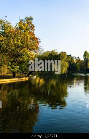 Paysage vert vif près du lac dans le jardin de Cismigiu (Gradina Cismigiu), un parc public dans le centre-ville de Bucarest Banque D'Images