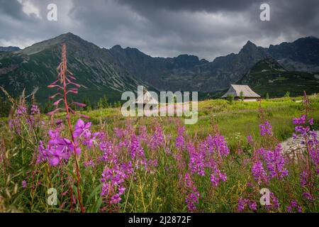 Refuge, vallée de Gasienicowa, parc national de Tatra, petite Pologne Voivodeship, Carpates, Pologne Banque D'Images