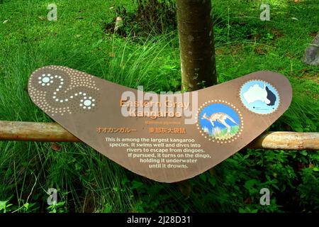 Panneau d'information, les jardins zoologiques de Singapour ou le zoo de Mandai, Singapour, Asie du Sud-est Banque D'Images