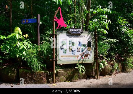 Panneau d'information, les jardins zoologiques de Singapour ou le zoo de Mandai, Singapour, Asie du Sud-est Banque D'Images