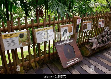 Panneaux d'information, les jardins zoologiques de Singapour ou le zoo de Mandai, Singapour, Asie du Sud-est Banque D'Images