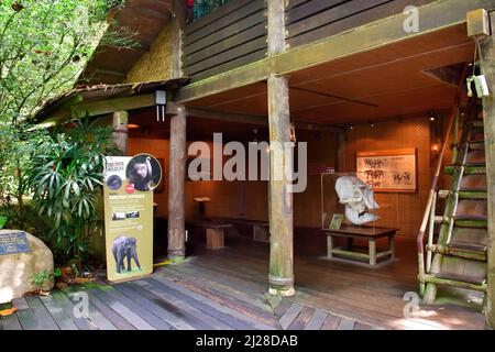 Panneaux d'information, les jardins zoologiques de Singapour ou le zoo de Mandai, Singapour, Asie du Sud-est Banque D'Images