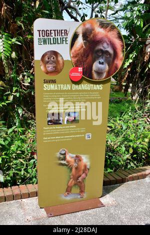 Panneau d'information, les jardins zoologiques de Singapour ou le zoo de Mandai, Singapour, Asie du Sud-est Banque D'Images