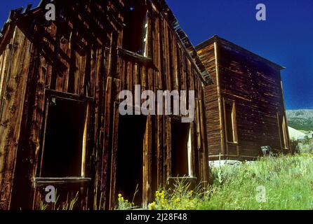 Mt: Jefferson County, Boulder Valley, Elkhorn (ville fantôme), bâtiments abandonnés sur la rue surcultivée. Banque D'Images