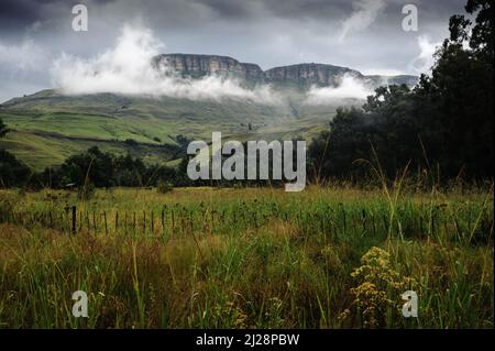 La vallée du Kamberg, dans la province sud-africaine du KwaZulu Natal, est un panier de pain agricole qui attire les randonneurs et les touristes dans la région Banque D'Images