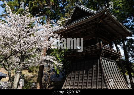 Honkoji est un vieux temple construit dans la période Nanbokucho, et le jardin de style Enshu, qui aurait été construit par Kobori Enshu à la fin de Banque D'Images