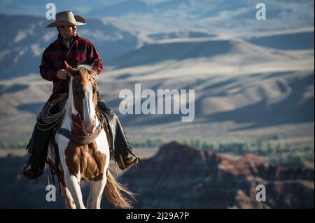 Beau cow-boy sur un cheval de peinture américain. Cow-boy classique. Bon cowboy. Cowboy en tissu écossais. Wyoming, États-Unis Banque D'Images