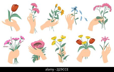 Mains de femmes de dessin animé tenant des bouquets de fleurs. Ensemble de tulipes, œillets, jardin frais et fleurs de champ. Illustrations vectorielles pour fleurs, romantique de Illustration de Vecteur