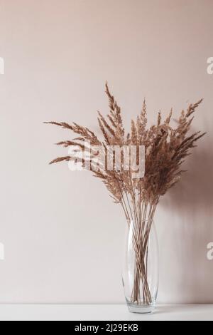 Des roseaux beiges secs ou des fleurs de foin dans le vase en verre sur un fond blanc clair.Décoration de style scandinave.Bouquet d'épillets et d'herbes de champ sec Banque D'Images