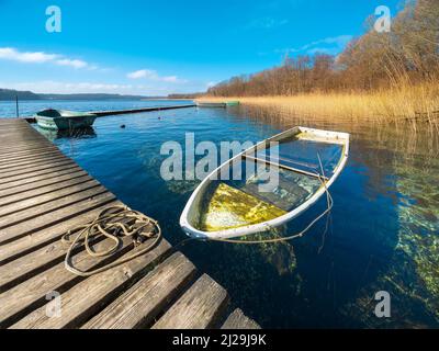 Bateau descendant à Schaalsee, jetée en bois dans les roseaux avec un bateau à ramer plein d'eau, Réserve de biosphère de Schaalsee, Mecklenburg-Poméranie occidentale Banque D'Images