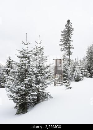 Paysage d'hiver avec cachette surélevée, arbres enneigés en forêt d'hiver, Fischbacher Alpen, montagnes de Styrie orientale, près de Stanz, Styrie, Autriche Banque D'Images
