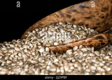 Chanvre (Cannabis sativa) sur une cuillère en bois, studio de photographie avec fond noir Banque D'Images