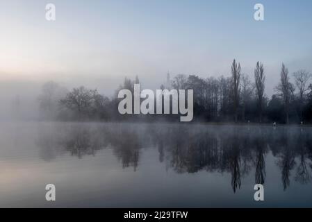 Brume matinale dans le parc Woerlitz, Dessau-Woerlitz Garden Kingdom, site classé au patrimoine mondial de l'UNESCO, Woerlitz, Saxe-Anhalt, Allemagne Banque D'Images