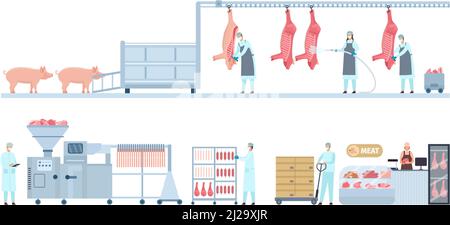 Convoyeur de production de viande de porc du porc de ferme à la boucherie. Étape du processus de fabrication de la boucherie. Infographie sur les vecteurs de l'industrie des produits de saucisse Illustration de Vecteur