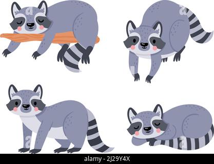 Mignon petit raton laveur de dessin animé, sommeil et repos d'animaux Illustration de Vecteur