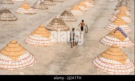 Brahmanbaria, Chittagong, Bangladesh. 31st mars 2022. Les enfants courent et jouent parmi des centaines de moulins à riz traditionnels faits de bambou.après avoir été bouilli, le grain est balayé en tas par les travailleurs et séché jusqu'à huit heures à Brahmanbaria, au Bangladesh. Le travailleur du moulin à riz a commencé son travail dès le début de la matinée, de 5 heures à 2pm heures tous les jours. Après la période du déjeuner, les enfants des travailleurs jouent leurs jeux de l'après-midi avec des amis dans ce champ de moulin à riz. (Credit image: © Mustasinur Rahman Alvi/ZUMA Press Wire) Credit: ZUMA Press, Inc./Alamy Live News Banque D'Images