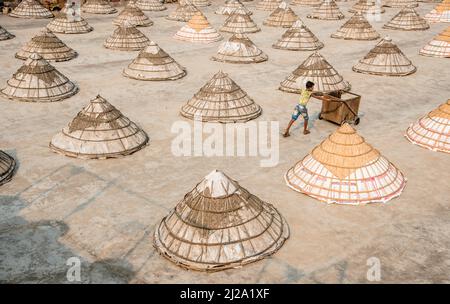 Brahmanbaria, Chittagong, Bangladesh. 31st mars 2022. Les enfants courent et jouent parmi des centaines de moulins à riz traditionnels faits de bambou.après avoir été bouilli, le grain est balayé en tas par les travailleurs et séché jusqu'à huit heures à Brahmanbaria, au Bangladesh. Le travailleur du moulin à riz a commencé son travail dès le début de la matinée, de 5 heures à 2pm heures tous les jours. Après la période du déjeuner, les enfants des travailleurs jouent leurs jeux de l'après-midi avec des amis dans ce champ de moulin à riz. (Credit image: © Mustasinur Rahman Alvi/ZUMA Press Wire) Credit: ZUMA Press, Inc./Alamy Live News Banque D'Images