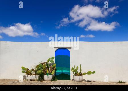 Ciel bleu avec nuages, porte bleue avec poire piqueuse et mur blanc traditionnel dans la ville d'Ostuni à Apulia, Italie.