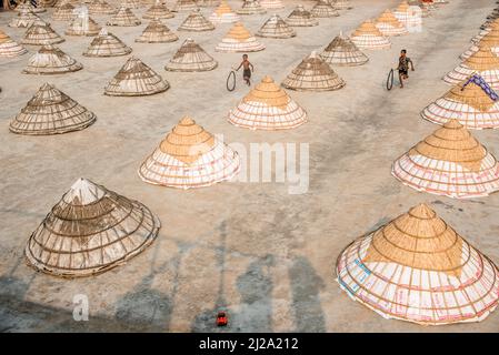 Brahmanbaria, Chittagong, Bangladesh. 31st mars 2022. Les enfants courent et jouent parmi des centaines de moulins à riz traditionnels faits de bambou.après avoir été bouilli, le grain est balayé en tas par les travailleurs et séché jusqu'à huit heures à Brahmanbaria, au Bangladesh. Le travailleur du moulin à riz a commencé son travail dès le début de la matinée, de 5 heures à 2pm heures tous les jours. Après la période du déjeuner, les enfants des travailleurs jouent leurs jeux de l'après-midi avec des amis dans ce champ de moulin à riz. (Credit image: © Mustasinur Rahman Alvi/ZUMA Press Wire) Credit: ZUMA Press, Inc./Alamy Live News Banque D'Images