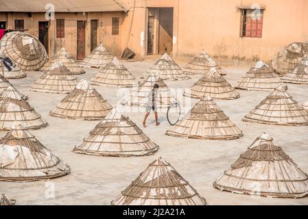 Brahmanbaria, Chittagong, Bangladesh. 31st mars 2022. Les enfants courent et jouent parmi des centaines de moulins à riz traditionnels faits de bambou.après avoir été bouilli, le grain est balayé en tas par les travailleurs et séché jusqu'à huit heures à Brahmanbaria, au Bangladesh. Le travailleur du moulin à riz a commencé son travail dès le début de la matinée, de 5 heures à 2pm heures tous les jours. Après la période du déjeuner, les enfants des travailleurs jouent leurs jeux de l'après-midi avec des amis dans ce champ de moulin à riz. (Credit image: © Mustasinur Rahman Alvi/ZUMA Press Wire) Credit: ZUMA Press, Inc./Alamy Live News Banque D'Images