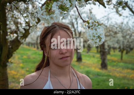 Portrait d'une jeune femme vêtue d'une robe blanche dans un verger de cerisier avec arbres en fleur. Image printemps été .provence , France . Banque D'Images