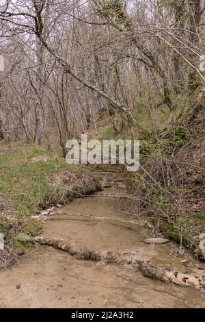 ruisseau dans une forêt de la vallée du kuartango dans le nord de l'espagne Banque D'Images