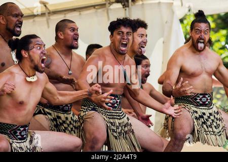 Nouvelle-Zélande - le haka est un cri de guerre traditionnel, une danse de guerre ou un défi dans la culture maorie. Sur la photo, elle est exécutée pendant la journée de Waitingi. Waitangi Banque D'Images
