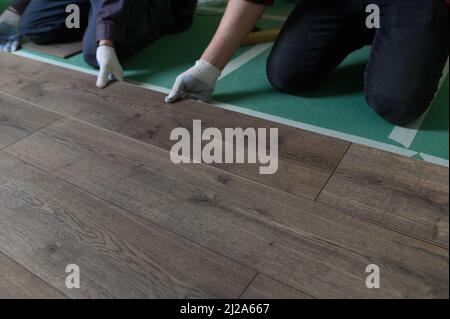 Un travailleur frappe les mains sur un stratifié reliant les panneaux par un clic de verrouillage Banque D'Images