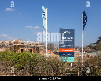 Tilia nouvelles maisons en construction, le Knoll, Landimore Park à la périphérie de Northampton, Royaume-Uni Banque D'Images