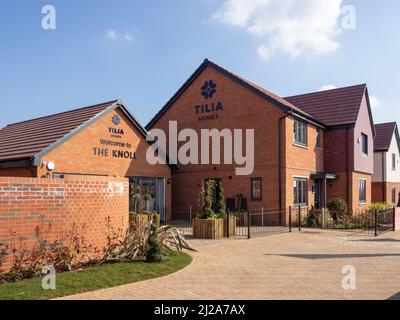 Tilia show houses, le Knoll, Landimore Park à la périphérie de Northampton, Royaume-Uni Banque D'Images