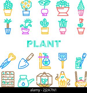 Ensemble d'icônes d'accessoires d'entretien et de plantes en pot Vector Illustration de Vecteur