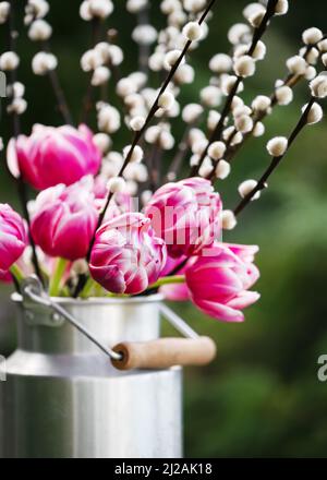 Beau bouquet de tulipes blanches, roses de printemps et de branches avec des chatons dans une boîte de lait en aluminium. Décoration floristique ou de jardin. Banque D'Images