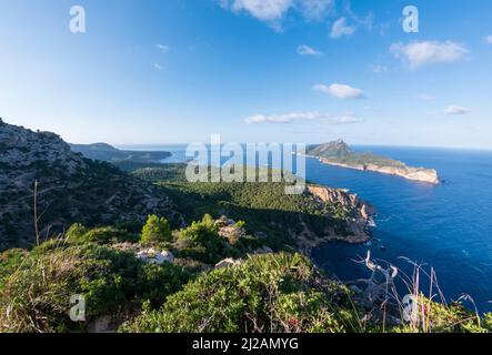 Vue sur l'île de sa dragonera couverte de forêt verte entourée d'eau de mer méditerranéenne, Majorque, Iles Baléares, Espagne, Europe Banque D'Images