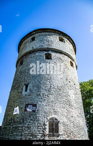 Tallinn, Estonie - 20.08.2021 Tour du musée Kiek in de Koek Banque D'Images