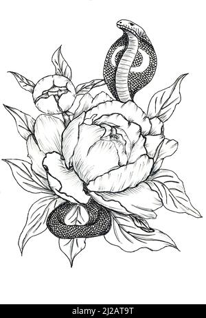 tattoo cobra décoré de fleurs de pivoine. t-shirt, logo, affiche, motif en tissu. dessin graphique dessiné à la main sur fond blanc isolé. design vintage. Banque D'Images
