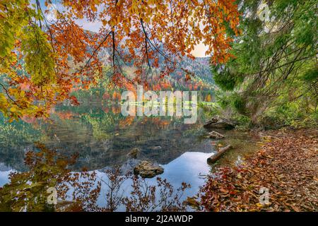 Superbe scène d'automne du lac Vorderer Langbathsee.Destination Poppular travell.Lieu: Vorderer Langbathsee, région de Salzkammergut, haute-Autriche, Banque D'Images