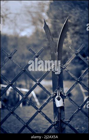 porte de jardin en métal avec cadenas Banque D'Images