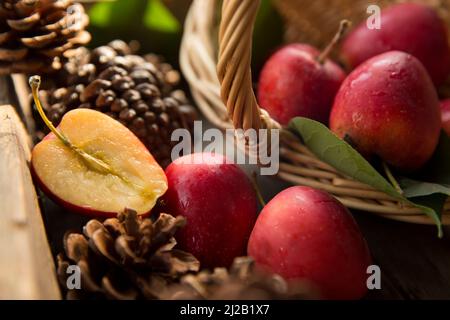 Pommes de crabe et cônes de pin Banque D'Images