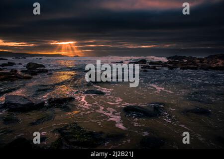 Lumière du soir sur la marée entrante à la plage isolée Little Fistral sur la côte de Newquay en Cornouailles. Banque D'Images