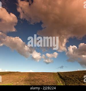 Grandes volutes nuages sur la lande de Cannock Chase Région d'une beauté naturelle à la fin de l'été Staffordshire Banque D'Images