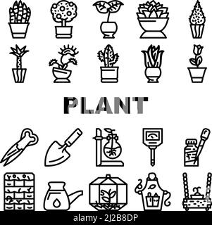 Ensemble d'icônes d'accessoires d'entretien et de plantes en pot Vector Illustration de Vecteur