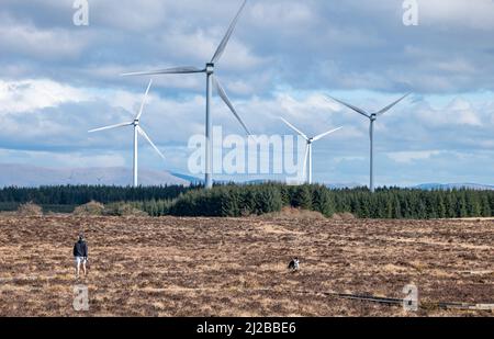 Réserve naturelle nationale de Blawhorn Moss, West Lothian, Écosse, Royaume-Uni, 31st mars 2022. Météo au Royaume-Uni : un homme marche son chien au soleil avec les éoliennes Burnhead au loin. Crédit : Sally Anderson/Alay Live News Banque D'Images