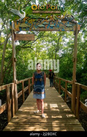 Une jeune femme hispanique en robe bleue pose au milieu d'un chemin en bois dans une mangrove Banque D'Images