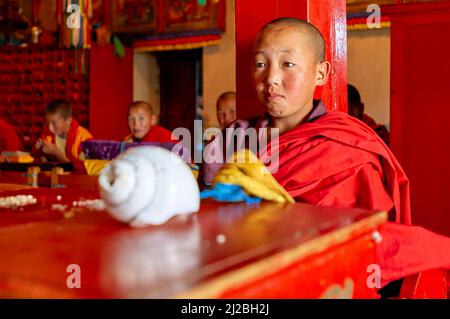 Mongolie. Jeunes moines dans le monastère d'Amamarbayasgalant Banque D'Images