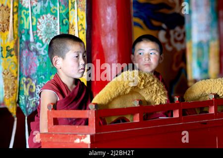 Mongolie. Jeunes moines dans le monastère d'Amamarbayasgalant Banque D'Images